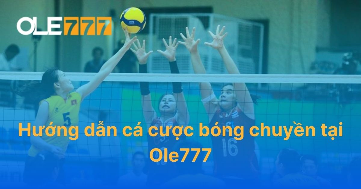 hướng dẫn cá cược bóng chuyền tại Ole777